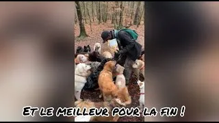 Miniature : lmmersion avec un dogsitter
