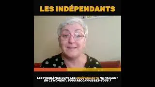 Miniature : Le problème de carrière des Indépendants et chefs d'entreprise en France