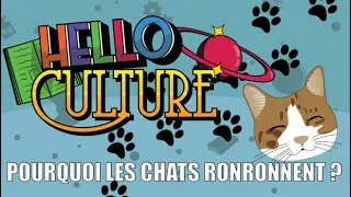 Miniature : POURQUOI LES CHATS RONRONNENT ?