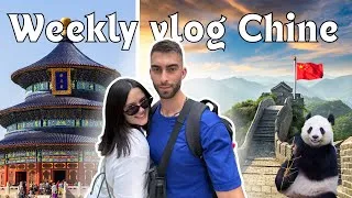 Miniature : NOS PREMIERS PAS EN CHINE (food, shopping, visites)