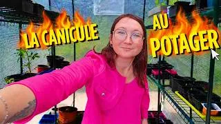 Miniature : #85 - LE POTAGER A CHAUD (C'est la canicule) - YTB85.mp4
