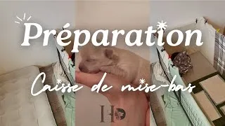 Miniature : Préparation caisse de mise bas de Targa