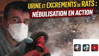 Miniature : Urine et excréments de rats :  nébulisation en action 🐀💨