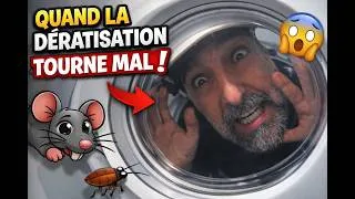 Miniature : Quand la dératisation tourne mal !