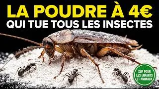 Miniature : Arrêtez de payer 800€ par an — Cette poudre à 4€ élimine tous les insectes pour toujours
