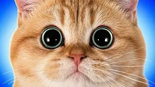 Miniature : AVOIR UN CHAT - HENRY TRAN
