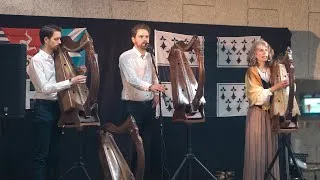 Miniature : À la découverte de la harpe de Bretagne (Hent Telenn Breizh)