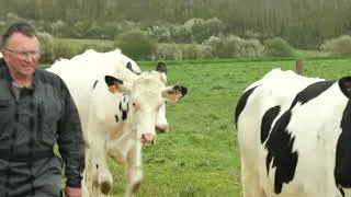 Miniature : Des chemins en dalles alvéolées pour optimiser le pâturage