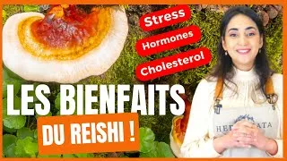 Miniature : Les Bienfaits du Reishi sur la Santé : Champignon Ganoderma Lucidum
