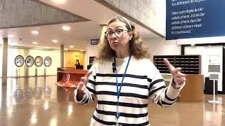 Miniature : Visite de l’UNESCO | ITW Alya Chéhab 🇱🇧  Le rôle de l’UNESCO et l’importance d’Odyssée pour le Liban