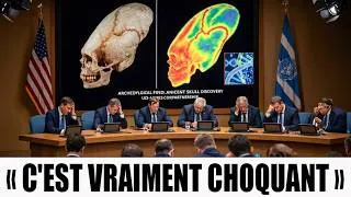 Miniature : L'analyse ADN complète de la lignée maya en 2025 révèle une situation bien plus grave que prévu.