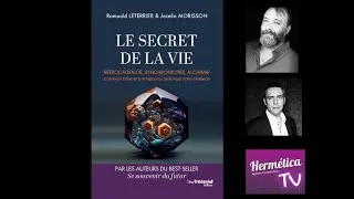 Miniature : 🎥 LE SECRET DE LA VIE – Rétrocausalité, synchronicités, alchimie #Synchronicités  #Rétrocausalité