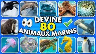 Miniature : Devine 80 ANIMAUX de la MER en 3 secondes 🦈🦑✅️ | Apprendre les Animaux Marins