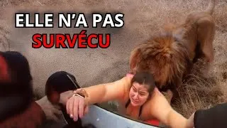Miniature : Safari Mortel : 3 Attaques Réelles Filmées | Ce Qui S'est Vraiment Passé