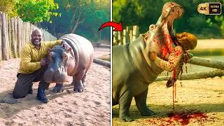 Miniature : Les Derniers Moments HORRIFIANTS de Marius Els — Attaqué par Son ANIMAL DE COMPAGNIE