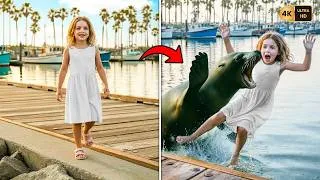 Miniature : Elle Ne Faisait que Regarder… L’Attaque Choc d’un Lion de Mer