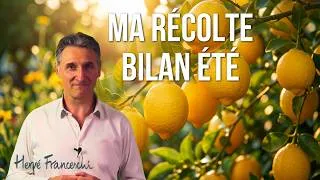 Miniature : Bilan de saison été : cultiver sa joie et passer à l’action (Semaine 24)