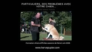 Miniature : Centre Hervé Pupier - Formation Chiens difficiles pour particuliers