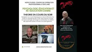 Miniature : Centre Hervé Pupier - Formation Educateur canin