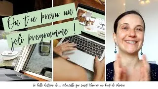 Miniature : Trajets et programme de janvier pour Maurice 🚍 le camping-car de naturopathie + concours 😍
