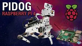Miniature : PiDog + Raspberry Pi 4 : le robot chien programmable