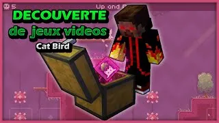 Miniature : Découverte du jeu vidéo CATBIRD