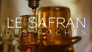 Miniature : Du Safran au Sirop – La transformation d’une épice précieuse | HIKARI Studio