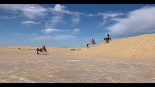 Miniature : iPhone Cinematic 4k: Tozeur (ⵜⵓⵣⴻⵔ) - Beautiful Tunisia