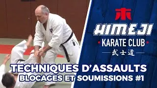Miniature : HImeji Karate Club  blocages et soumissions