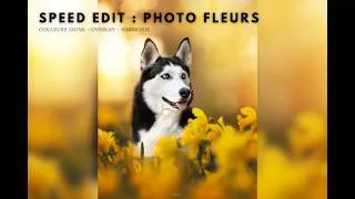 Miniature : Je transforme une photo BANALE en image magique 🌼🐺