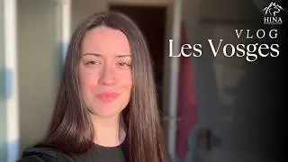 Miniature : Une journée photo dans les montagnes des Vosges 🌲🐕 (vlog nature)