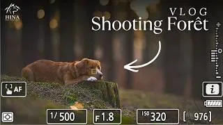Miniature : VLOG Shooting forêt : mes réglages en conditions réelles