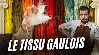 Miniature : Comment on fait du tissu ? (Et les couleurs pour aller avec !) - Histoire Appliquée