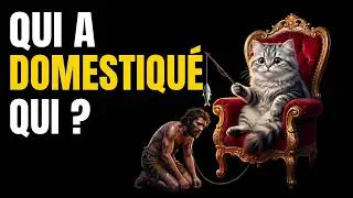 Miniature : On N'a PAS Domestiqué le Chat (C'est le CONTRAIRE)