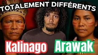 Miniature : Qui étaient les autochtones des Antilles?