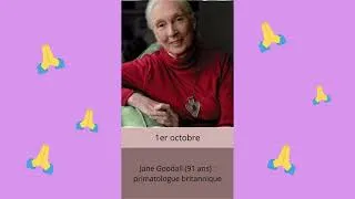 Miniature : Brigitte Bardot, Jane Goodall, Robert Redford... Ils nous ont quittés en 2025... 🙏