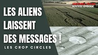 Miniature : Crop Circles : Les Nouveaux Dessins dans les Champs Relancent le Mystère OVNI