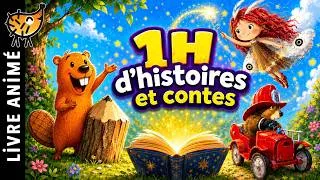 Miniature : Histoires calmes et bienveillantes 🦉 Histoire pour s'endormir, Conte pour enfant, Peur du noir, 1H
