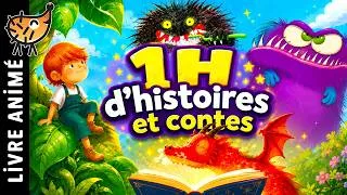 Miniature : Histoires calmes et bienveillantes 🐺 Histoire pour s'endormir, Conte pour enfant, Loup, Maitresse 1H