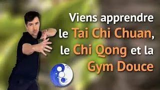Miniature : Venez Pratiquer le Tai Chi près de chez Vous ! | Reprise des cours le 13 septembre