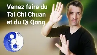 Miniature : Venez Pratiquer le Tai Chi chez Nous ! | Cours de Tai Chi en salle et en extérieur
