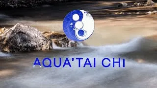 Miniature : Aqua'Tai Chi, pratiquez le Tai Chi Chuan dans l'eau
