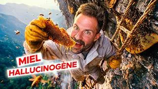 Miniature : ON A RÉCOLTÉ LE MIEL HALUCINOGÈNE DU NEPAL ! (Documentaire)