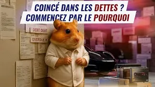 Miniature : Fil d’actu de Hamster : De l'endettement à la vision - Le changement de mentalité qui vous libère