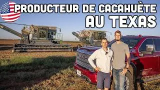 Miniature : COMMENT LES AMÉRICAINS RÉCOLTENT LES CACAHUÈTES AU TEXAS 🇺🇸🥜
