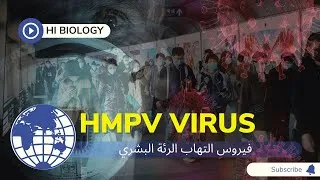 Miniature : Virus chinois Metapneumovirus de l'homme HMPV