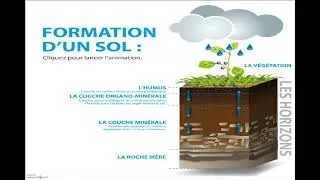 Miniature : Formation d'un sol