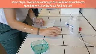 Miniature : Tuto ELISA HD