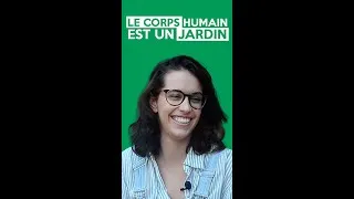 Miniature : Comment expliquer l'ostéopathie avec des mots simples ? - HOLISTÉA