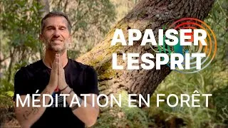 Miniature : APAISER L'ESPRIT (méditation en forêt 🌳)